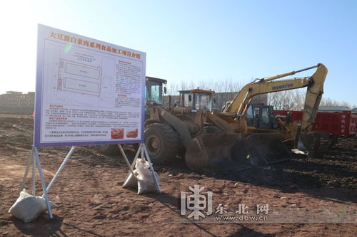 巴彥縣食品加工項目開工建設 將轉化地產(chǎn)大豆6萬噸
