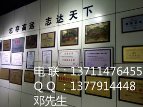 電子元器件行業(yè)獎(jiǎng)牌獎(jiǎng)項(xiàng)